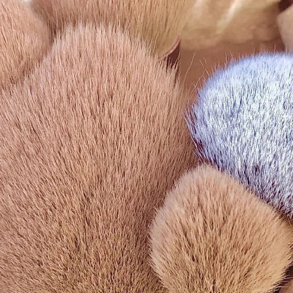 Set de Brochas de Maquillaje 13 Piezas – Ojos, Rostro y Labios